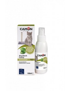 catnip concentrado gato