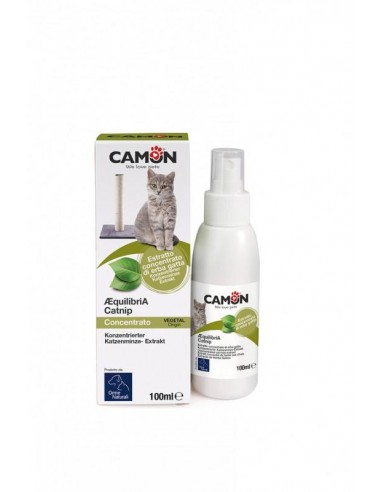 catnip concentrado gato