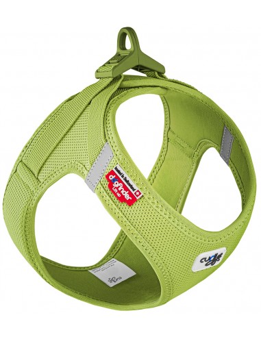 arnes curli clasp lima