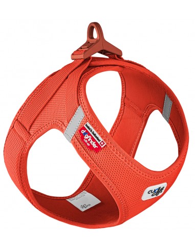 arnes curli clasp naranja