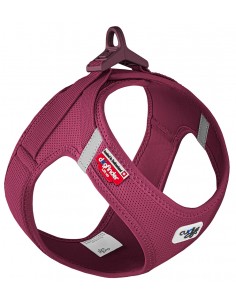 arnes curli clasp rubi