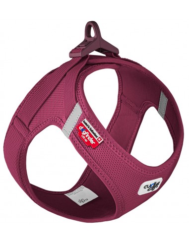 arnes curli clasp rubi