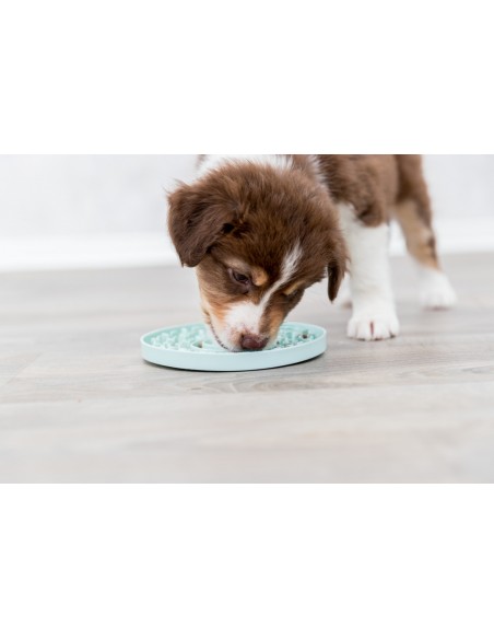 bandeja-lamer-cachorro bandeja-lamer-cachorro