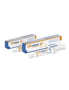 PRO ENTERIC Advanced tratamiento de diarreas en perros y gatos