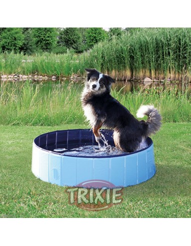 Piscina para perro