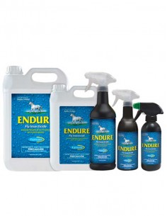 endure-caballos