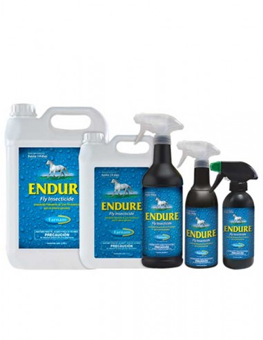 endure-caballos