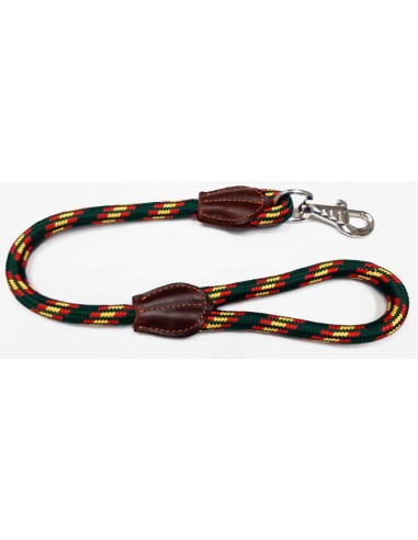 Correa para perro cordón tipo cuerda gruesa verde bandera