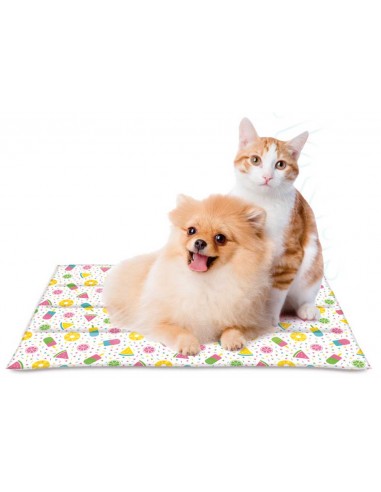 Cama refrescante para perro