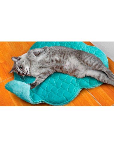 cama-gato-kong