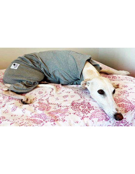 pijama-quirurgico-perro