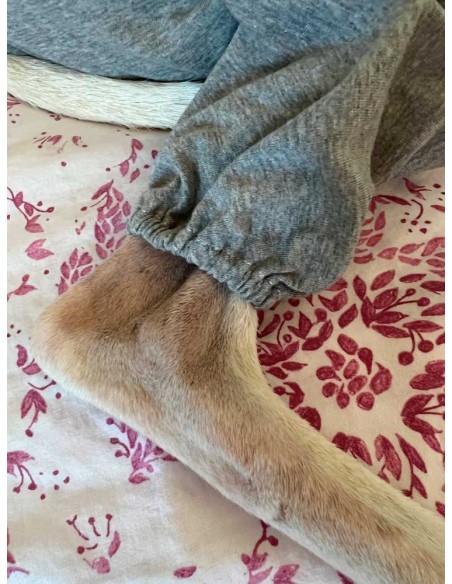 pijama-quirurgico-perro