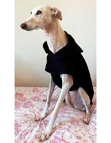 sudadera para galgo