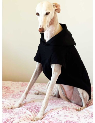 sudadera para galgo