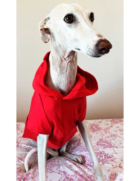 sudadera para galgo