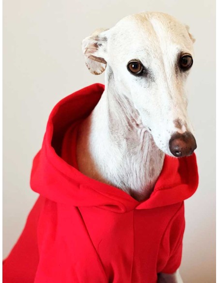 sudadera para galgo