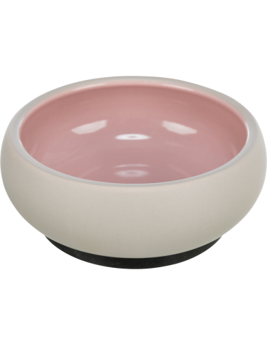 Comedero cerámico para perro