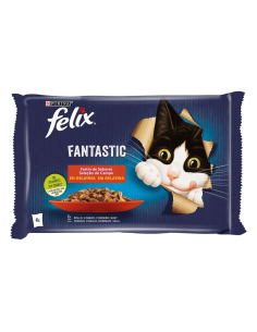 Felix Fantastic fetín de...