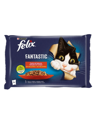 Felix Fantastic fetín de carnes