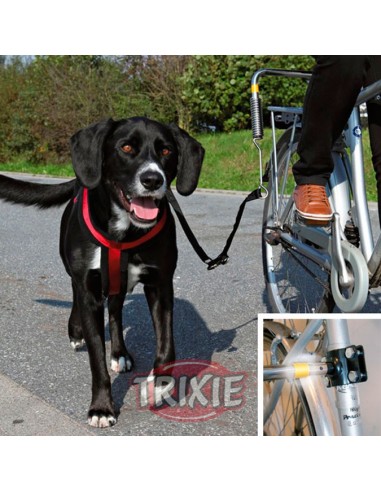 Set con muelle para pasear en bici con su perro
