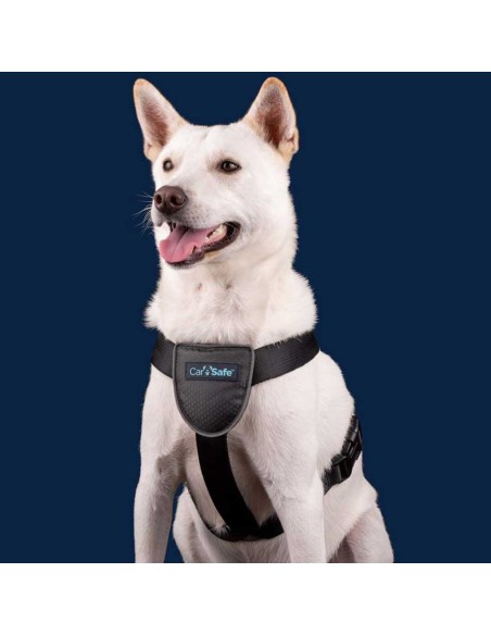 Arnés para coche, car safe travel Pocurull