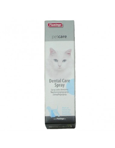 Spray cuidado dental