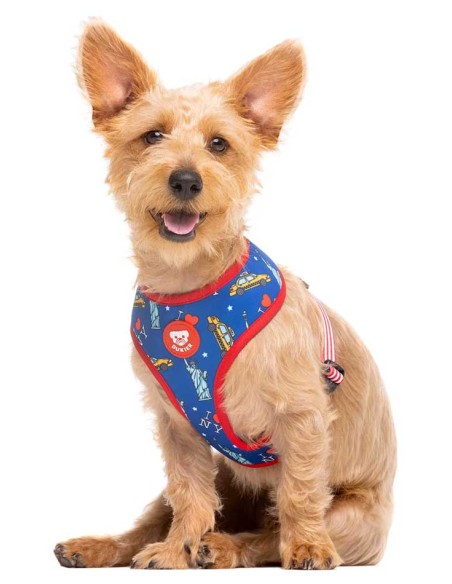 Arnés para perros DUKIER modelo New York