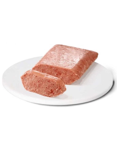 Advance dietas húmedas Gastroenteric