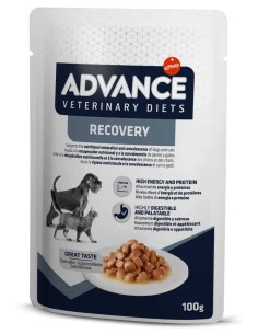 Advance dietas húmedas Recovery
