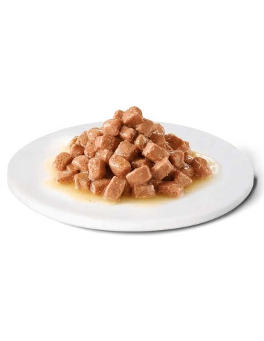 Advance dietas húmedas Recovery