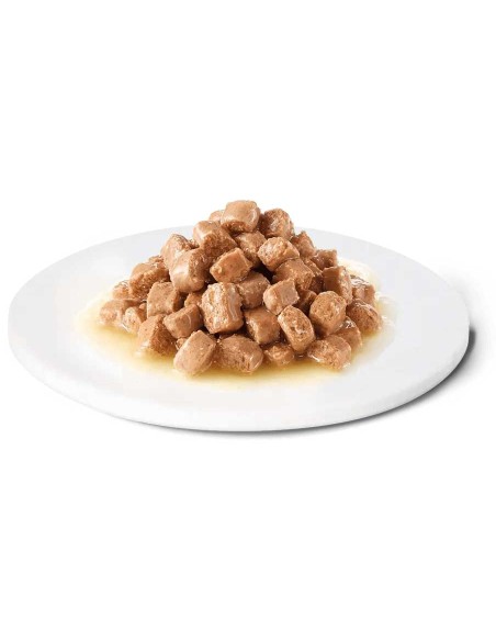 Advance dietas húmedas Gastroenteric