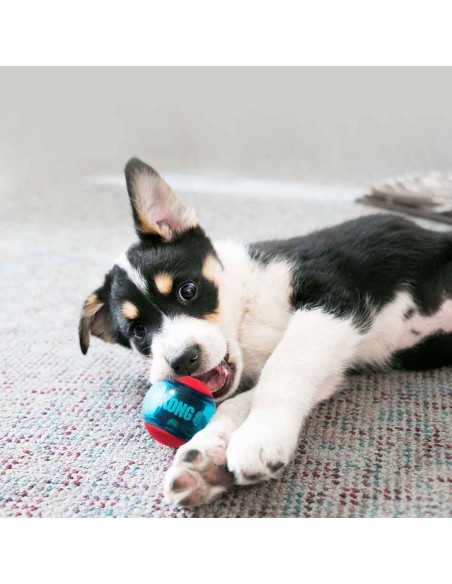 Pelota para perro Squeezz Action Small, Kong
