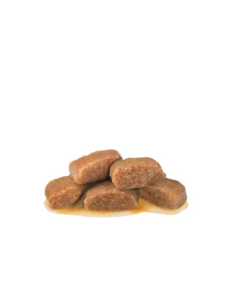 Royal Canin Feline Renal con pescado