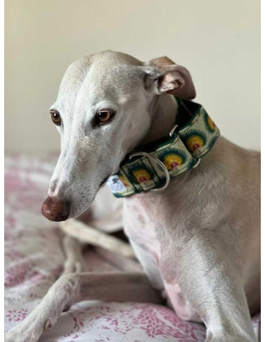 collar-galgo-algodon