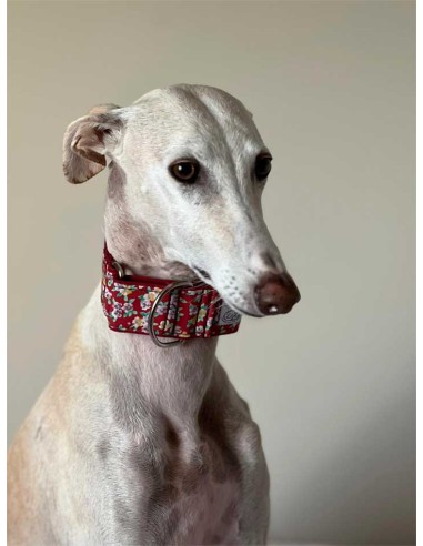 collar-galgo-algodon