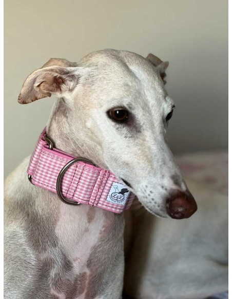 collar-galgo-algodon