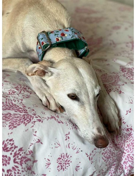 collar-galgo-algodon
