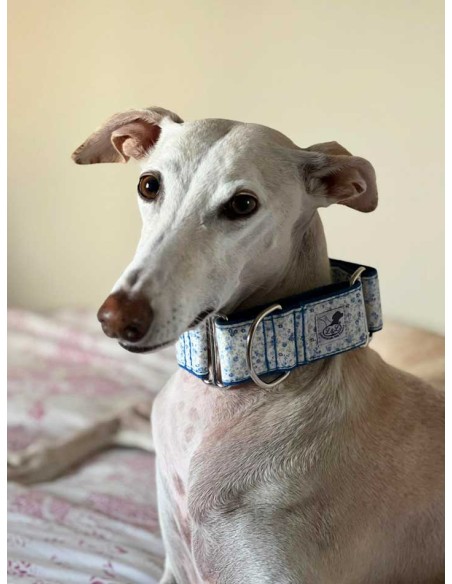 Collar para galgo en tela loneta muy resistente de flores azules