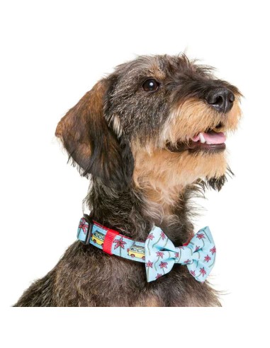 Pajarita California original Dukier para perro