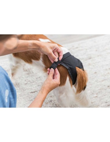 Braguita protectora para celo