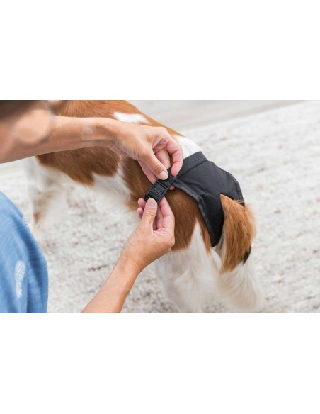 Braguita protectora para celo