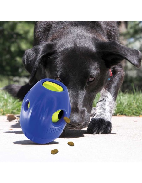 Juguete para perros, Kong Tikr
