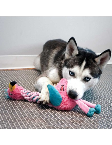 Juguete para perros, Kong Knots Twist Pájaro