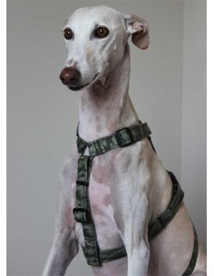 Arnés antiescape especial para galgos modelo camuflaje con calaveras