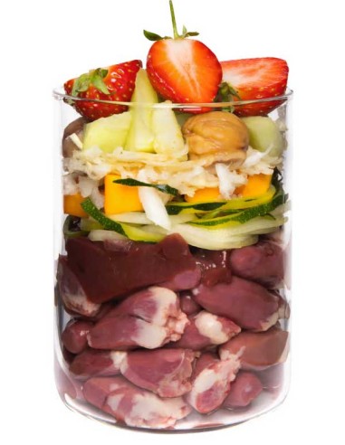 Terra Canis Grain Free Pato con Calabaza, fresa y saúco