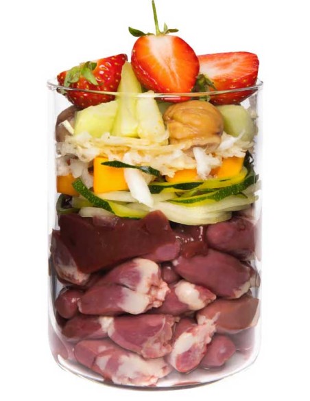 Terra Canis Grain Free Pato con Calabaza, fresa y saúco