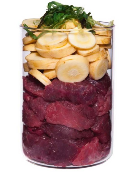 Terra Canis Hypoallergenic Avestruz con chirivía Terra Canis Hypoallergenic Avestruz con chirivía