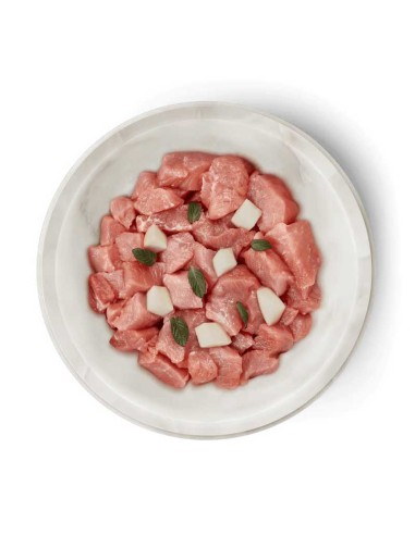 Terra Canis Felis Adulto Conejo