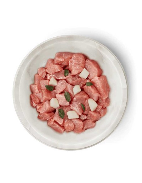 Terra Canis Felis Adulto Conejo