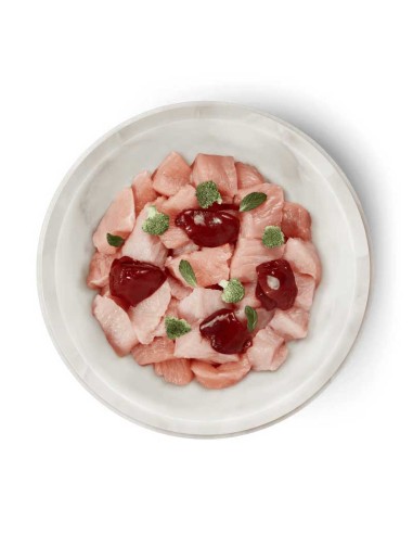 Terra Canis Felis Adulto Pavo